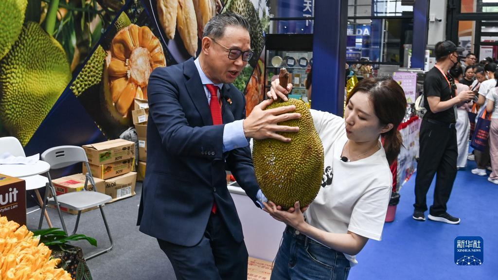 大红鹰欢迎您登录